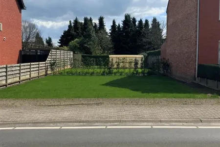 GrondGierle