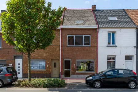 HuisMuizen