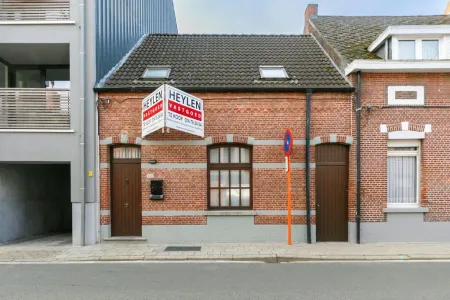 HuisGeel