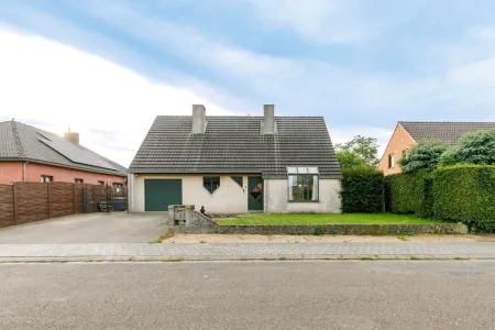 HuisGeel
