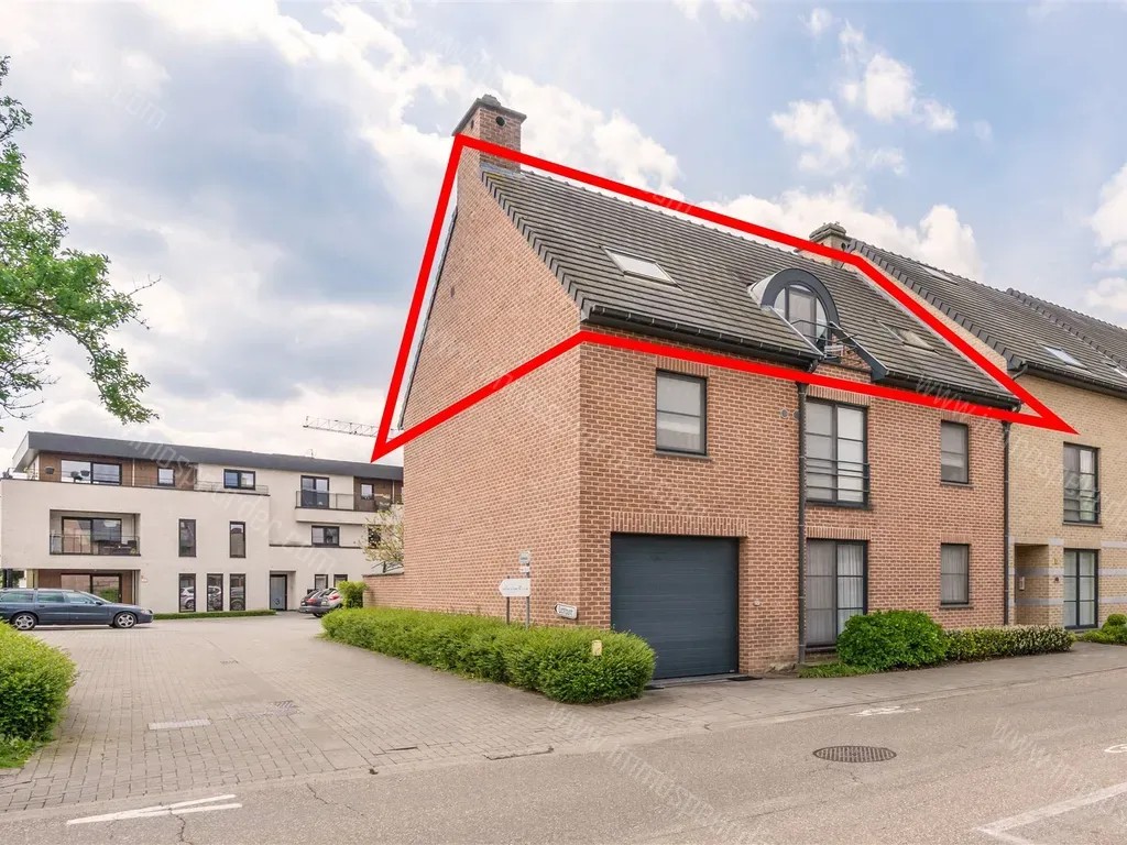 Appartement in Peer - 1426255 - Noordervest 40A, 3990 PEER