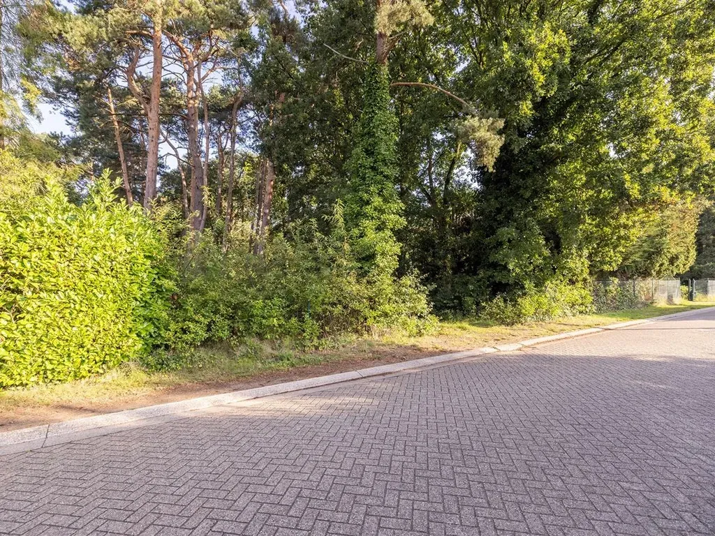 Grond Te Koop Wechelderzande