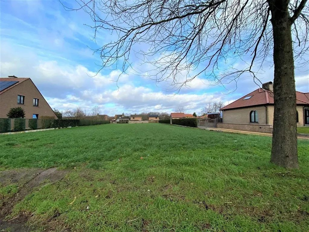 Grond Te Koop Tessenderlo-ham