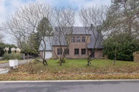 HuisGeel