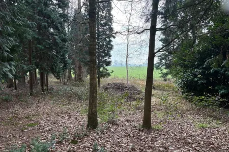HuisBrecht