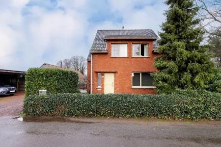 HuisGeel
