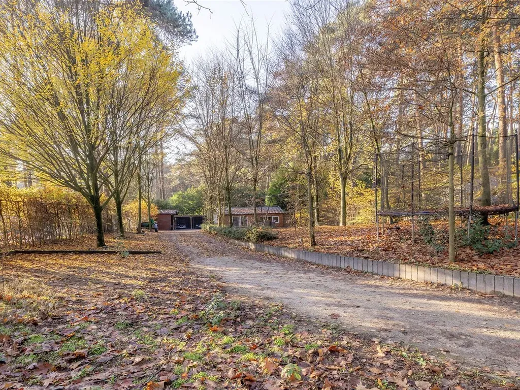 Huis in Wechelderzande - 7664304 - Bosuilweg 13, 2275 WECHELDERZANDE