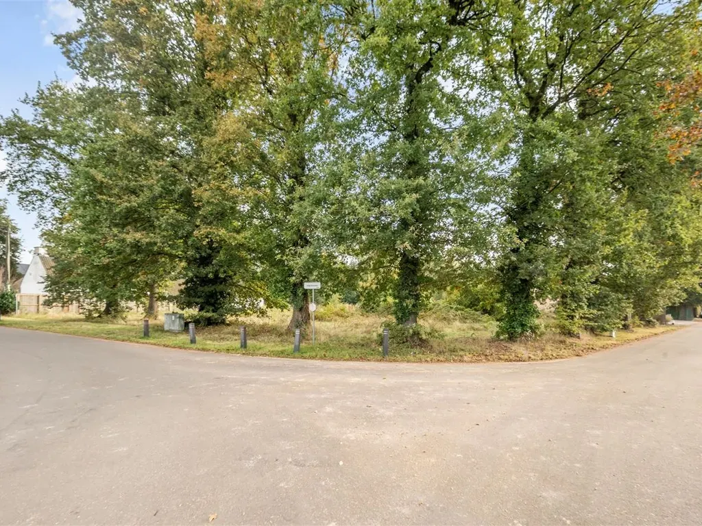 Kantoor in Zonhoven - 7664330 - Holleweg LOT 3, 3520 Zonhoven