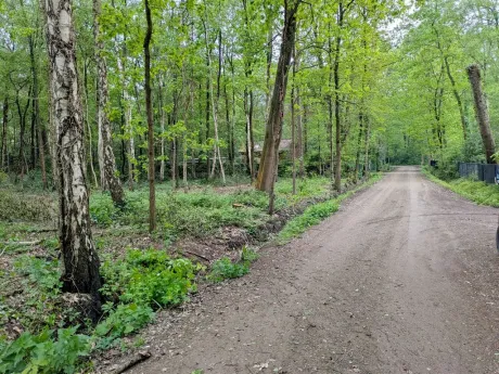 Grond in Essen - Hazenpad 7, 2910 - foto 3