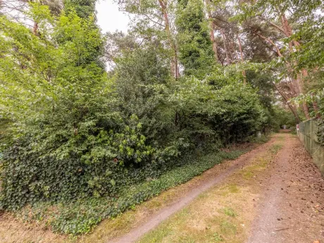 Terrain à Vorselaar - Huls C68e, 2290 - photo 2