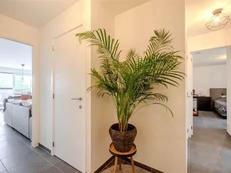 Appartement in Morkhoven - Molenstraat 42 bus 102, 2200 - foto 2