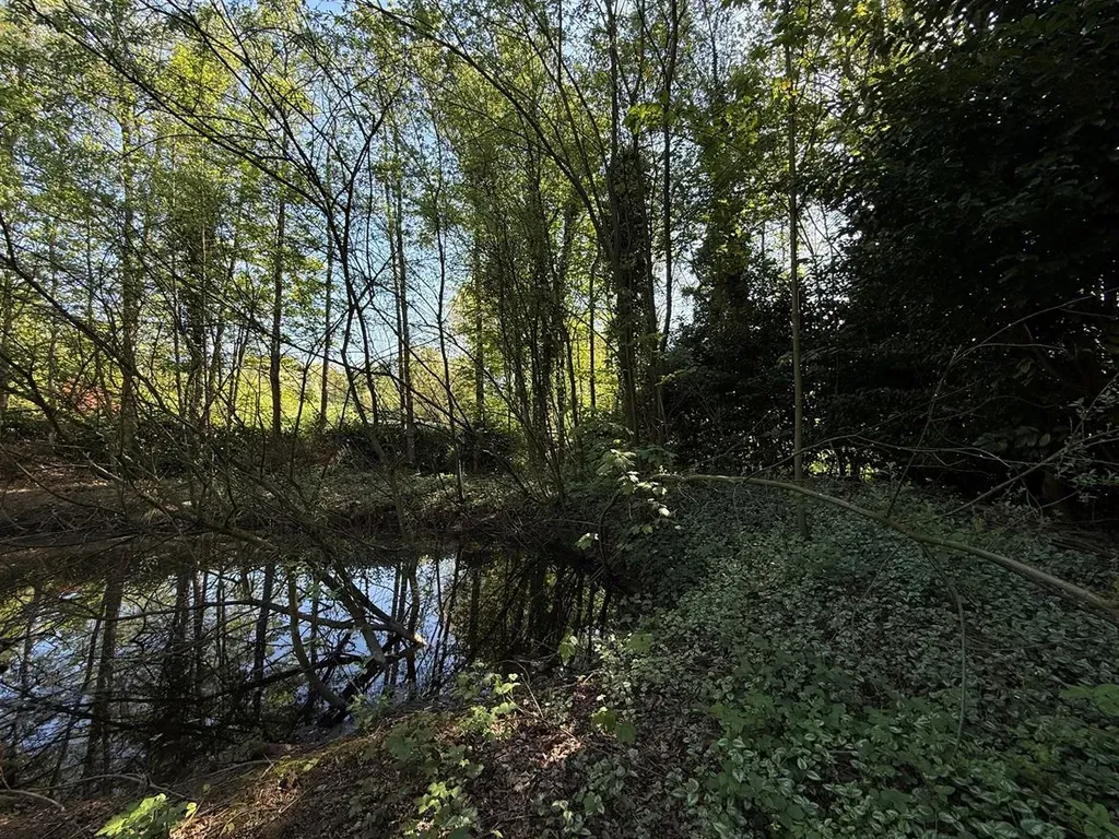 Hoofdfoto Grond in Zoersel