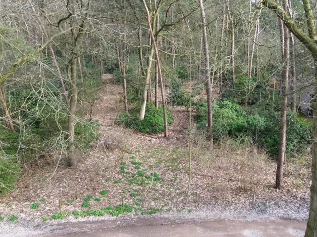 Grond in Essen - Zonnedauwlaan 4, 2910