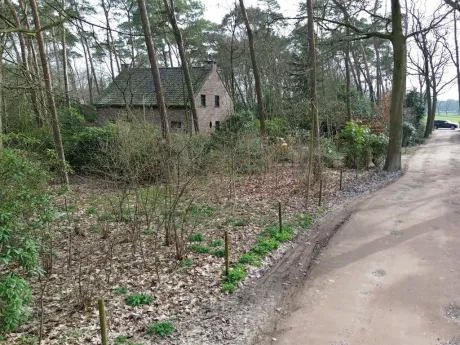 Grond in Essen - Zonnedauwlaan 4, 2910 - foto 2