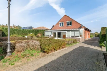 HuisGeel
