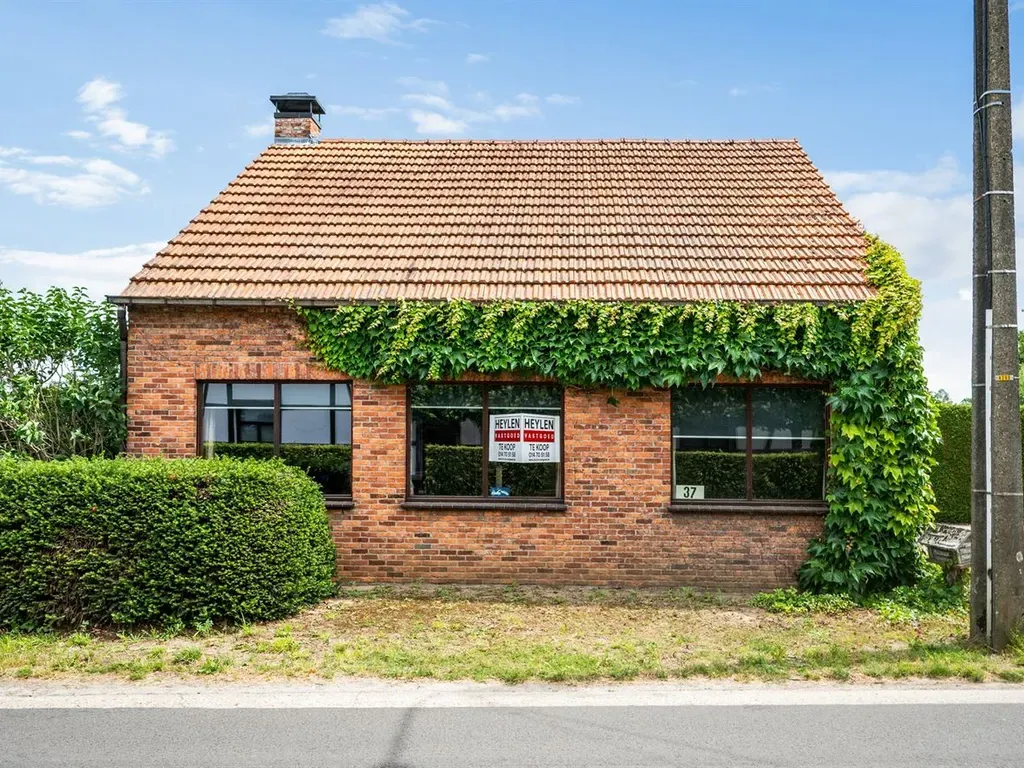 Hoofdfoto Huis in Kasterlee