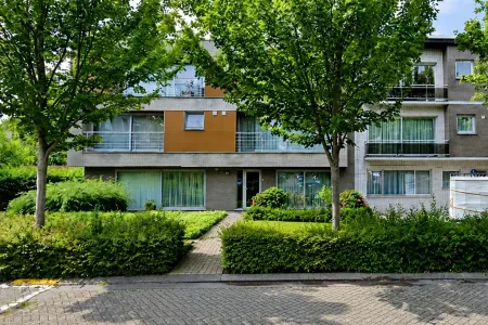 Appartement À louer Brasschaat