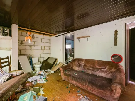 Maison à Herselt - Worfkes 32, 2230 - photo 7