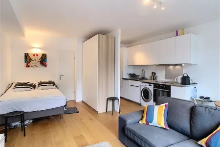 Appartement Te Koop Ixelles