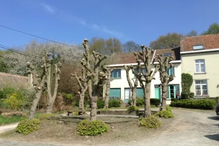 Huis Gearchiveerd Dworp