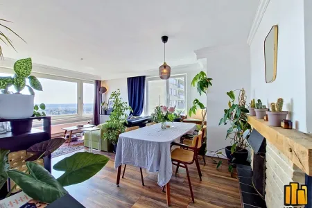 Appartement Te Koop Laeken