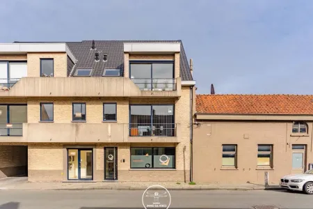 HuisDrongen