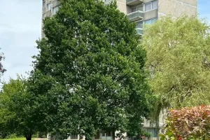 Appartement Te Koop Nivelles