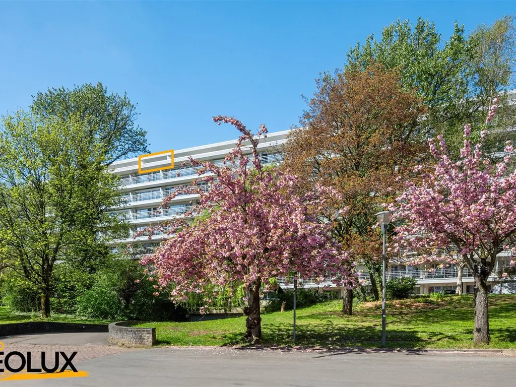 Hoofdfoto Appartement in Anderlecht