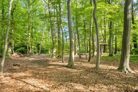 Villa Te Koop Sint-Niklaas