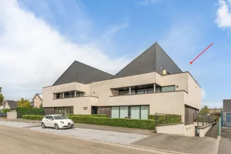 Appartement Te Koop Kinrooi