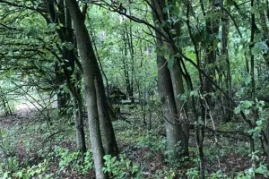  Verhuurd Beringen