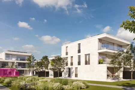 Appartement Te Koop Beringen