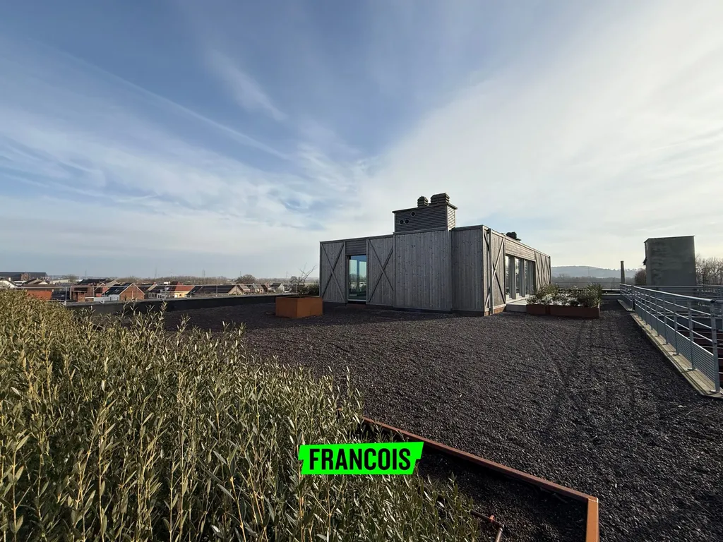 Hoofdfoto Huis in Avelgem