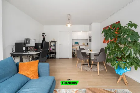 Appartement Te Koop De Haan
