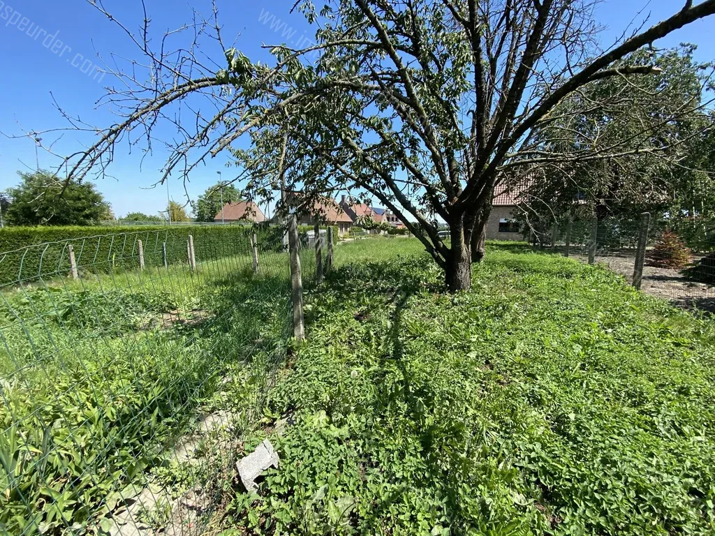 Grond Te Koop Pepingen