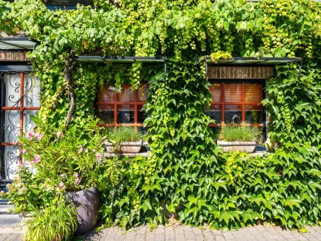 Huis in Eeklo - Molenstraat 50, 9900 - foto 3