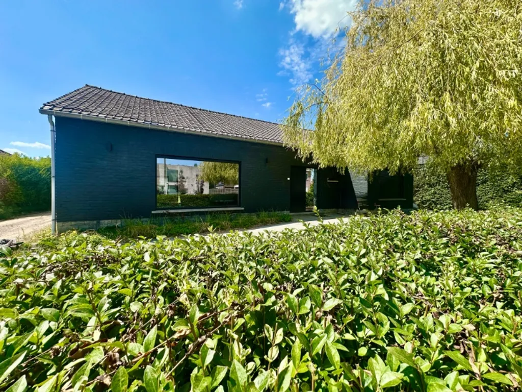 Hoofdfoto Huis in Heule