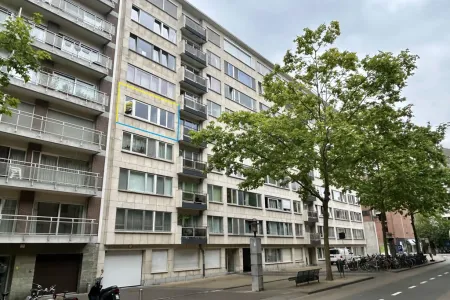 Appartement Te Koop Leuven