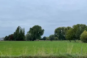 Grond Te Koop Lier