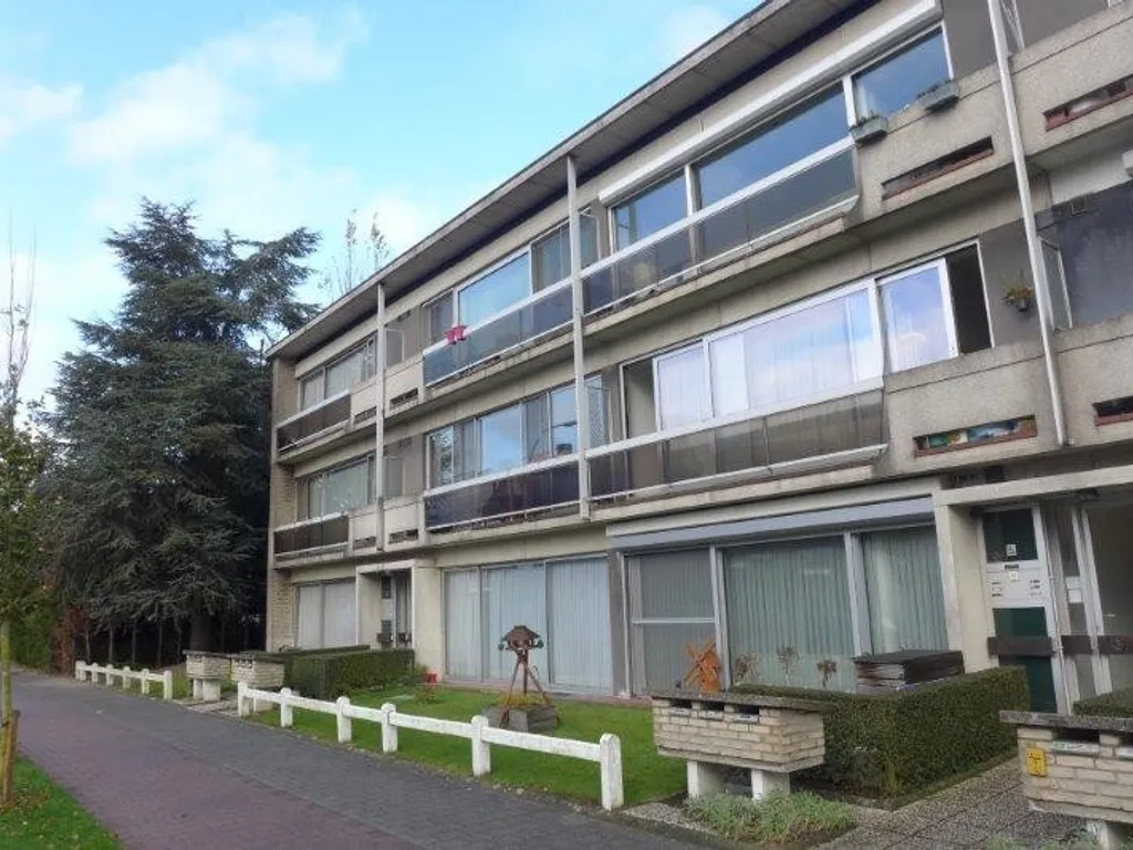 Hoofdfoto Appartement in Kontich