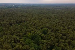 Grond Te Koop Kasterlee