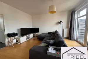 Appartement Te Huur Forest