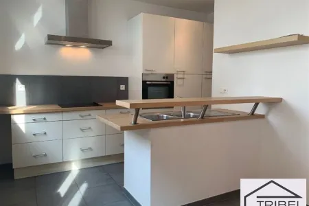 Appartement Te Huur Ixelles