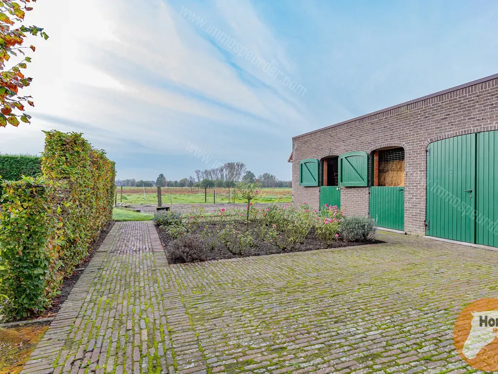 bayaerdstraat-37-9290-berlare-1296381-immospeurder