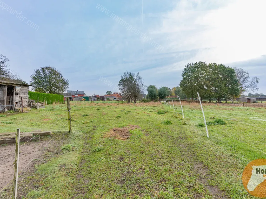 bayaerdstraat-37-9290-berlare-1296381-immospeurder