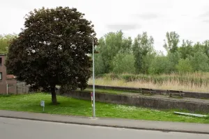 Huis Te Koop Hamme