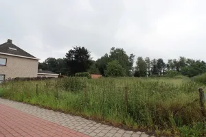 Grond Te Koop Waasmunster