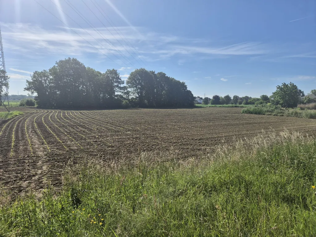 Grond in Maasmechelen - 7680628 - Rijksweg 27, 3630 Maasmechelen