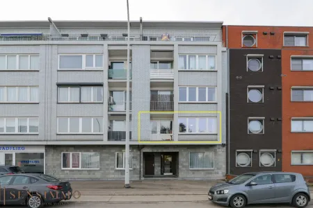 Appartement Te Koop Maasmechelen