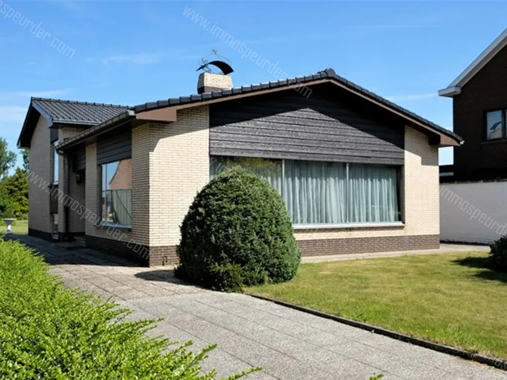 Maison à Vendre Zottegem